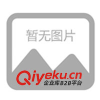 深圳茂藝來供應(yīng)抱枕、頸枕、抱枕被等(圖)